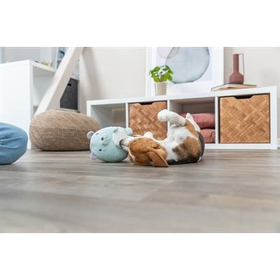 Trixie Plush Bear Mint Green für Welpen