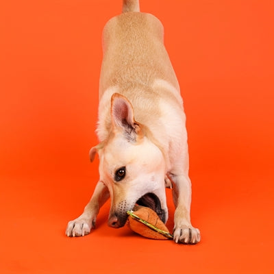 Outward Hound Xtreme Seamz Leeuw