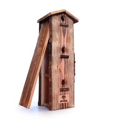 Utopia Sparrow Apartment verbrannte Douglas Wood
