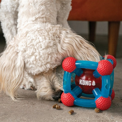 Kong belohnt Tinker