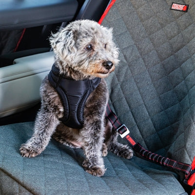 Kong Autogürtel Hund Deluxe drehen