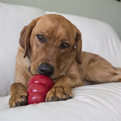 Kong Snacks Erdnussbutter