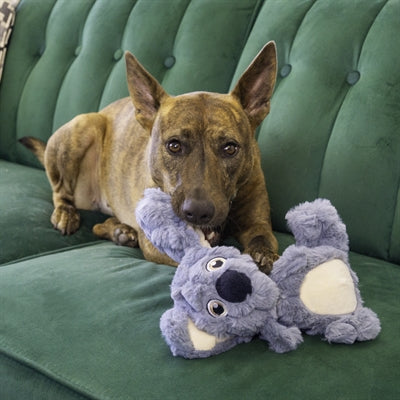 Kong Scrupplez Koala Plüsch mit Beepgrau
