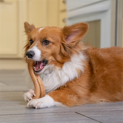 PETSPSAGE DOGWOOD Flip Chew