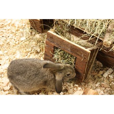 Natur erster roher hölzerner Heuregal