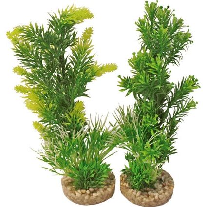Aquariumanlage 349701