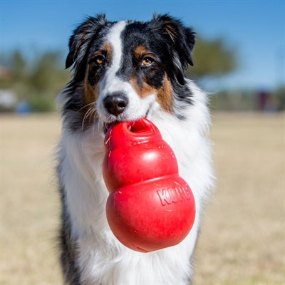 Kong Bounzer Rot