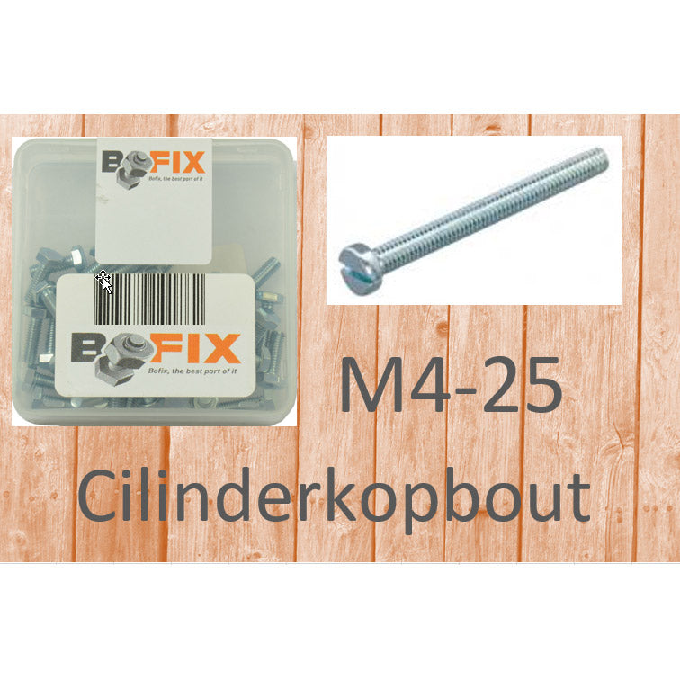 Bofix -Zylinderkopfschraube M4x25 verzinkt (50.)