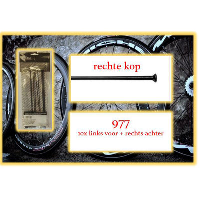 Miche Spaak+Nip. 10x LV+Ra 977 Gerade Kopf