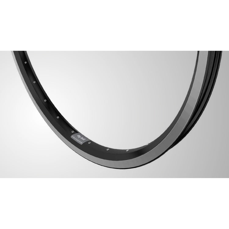 Rand 28 (622) Bigbull 36 14 schwarz silberne Seite