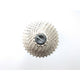 Xtrabike Kassette Xtrabike 12V 12-34 Shimano