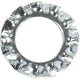 Bofix Zahnfeder Ring M8 pro 250