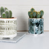 Kitchencraft Flowerpot 10 x 5 cm Keramikblau