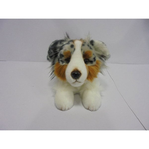 Lügen australischer Hirtenhund 30 cm