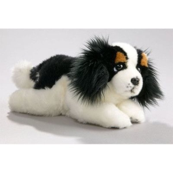 Lüge König Charles Welpe 28 cm