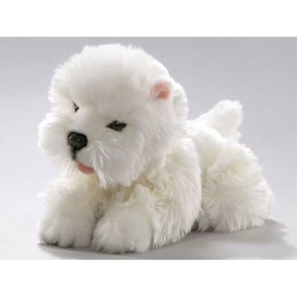 Lügen Westie Welpe 29 cm