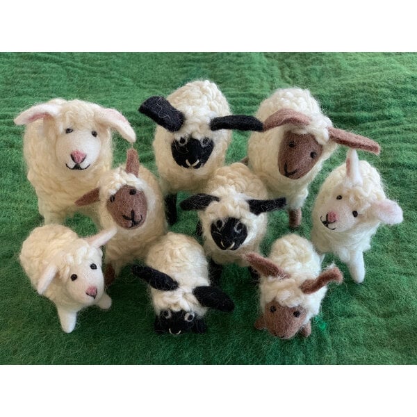 Papoose -Spielzeug Herde aus Schaf 9pc