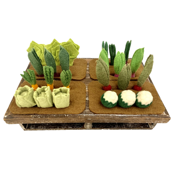 Papoose-Spielzeug wachsen am 24PC-A-Garden