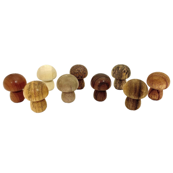 Papoose Toys Mini WW -Pilze 9pc