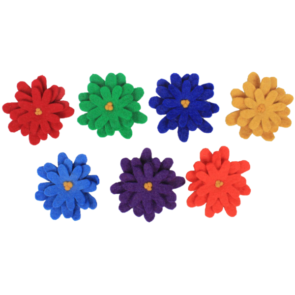 Papoose -Spielzeug Regenbogen -Astern 7pc