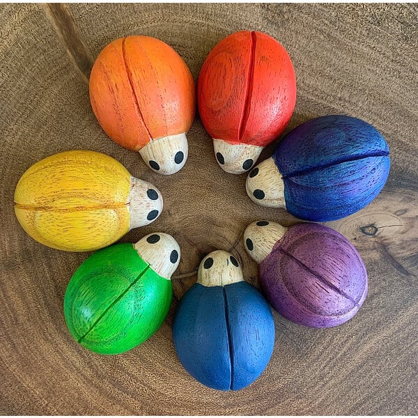 Papoose -Spielzeug Regenbogen -Marienvögel 7pc