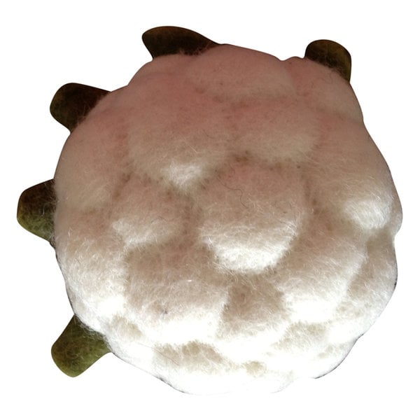 Papoose Spielzeug Gemüse Blumenkohl