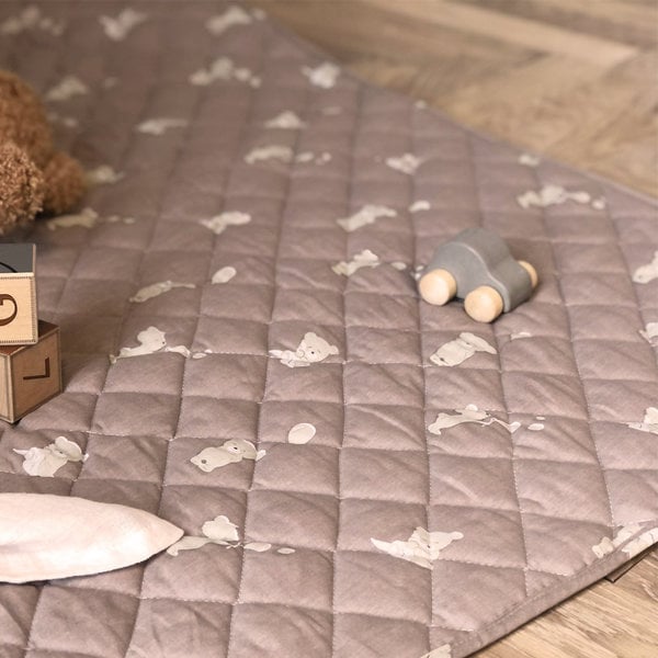 Petú Petú Ini studierte Speelmat Teddy