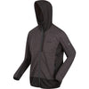 Regatta Bresdon Softshellcoat Männer schwarz grau Größe 3xl