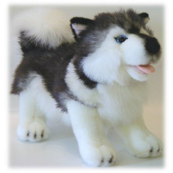 Husky 25 cm