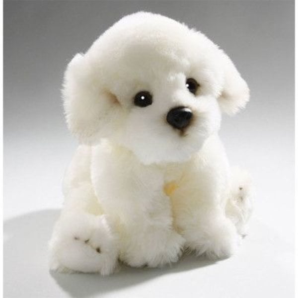 Sitzen Bichon Frise Welpe 24 cm